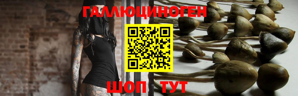 Псилоцибиновые грибы MAGIC MUSHROOMS  Вход с VPN  Галлюциногенные грибы Psilocybe  Щёлково 
