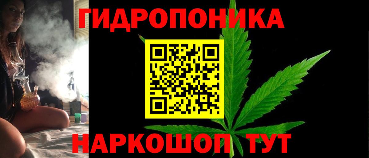 Бошки марихуана конопля Щёлково